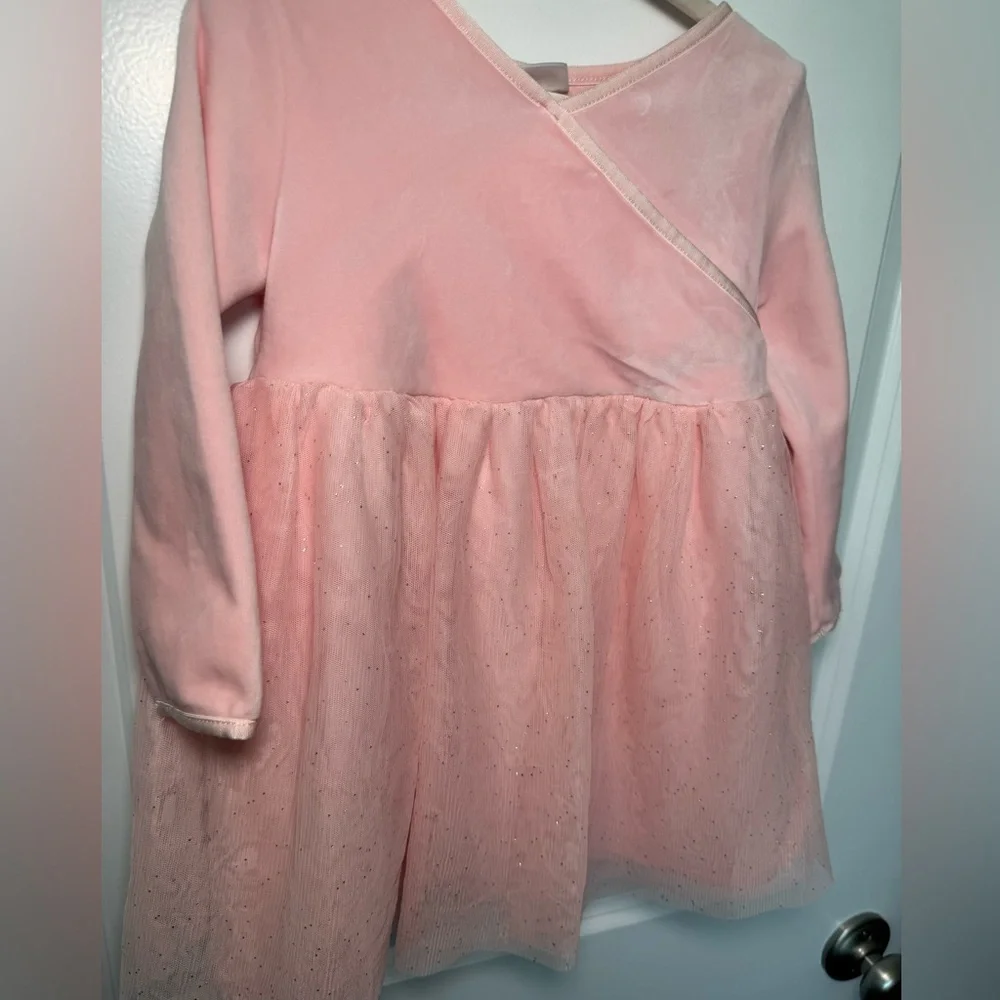 Hanna Andersson Pink Tulle & Velvet Long-Sleeve Party Dress